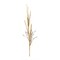 Melrose Harvest Fall Artificial Fox Tail Stem Sprays - 47" - Set of 2